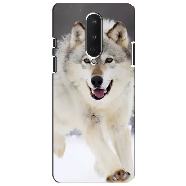 Чехол с рисунком «Волк на снегу» для OnePlus 8 Чехол с рисунком «Волк на снегу» для OnePlus 8