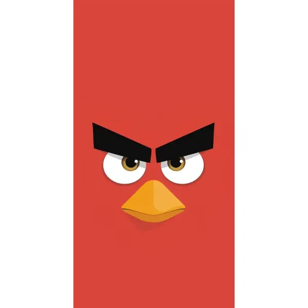 Чохол з малюнком «Angry Birds» для OnePlus 9RT Чохол з малюнком «Angry Birds» для OnePlus 9RT