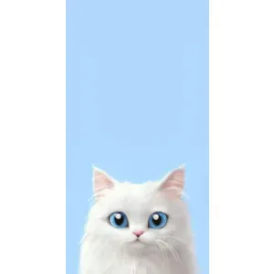 Чехол на тематику: Коты для OnePlus 9RT (Белый кот)