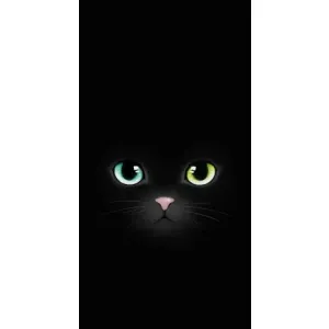 Чехол на тематику: Коты для OnePlus 9RT (Черный Котик)