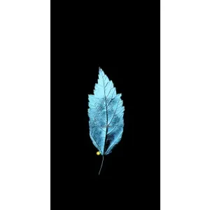 Чехол с картинками на черном фоне для OnePlus 9RT (Листочек)