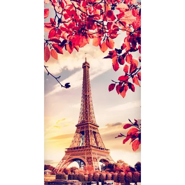 Чехол с рисунком «Paris photo» для OnePlus 9RT