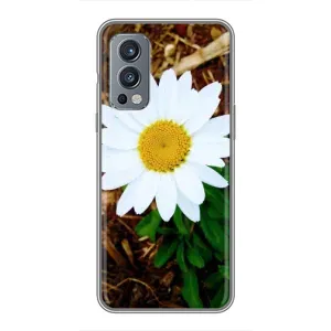 Чохол з ромашками на OnePlus Nord 2 (Біла ромашка)