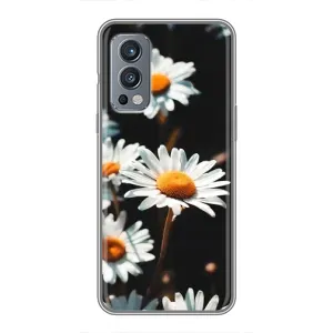 Чохол з ромашками на OnePlus Nord 2 (Білі ромашки)