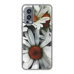 Чехол с ромашками на OnePlus Nord 2