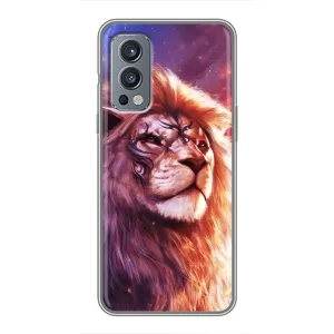 Чехол с картинкой на OnePlus Nord 2 (Красочный ЛЕВ)