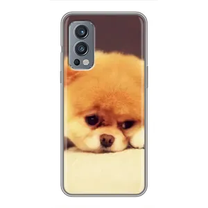 Чехол (ТПУ) Милые собачки для OnePlus Nord 2 (Померанский шпиц)