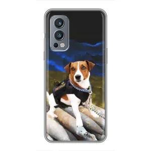 Чехол с принтом Собаки Патрон для OnePlus Nord 2 (Пёс Патрон)