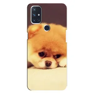 Чехол (ТПУ) Милые собачки для OnePlus Nord N10 5G (Померанский шпиц)