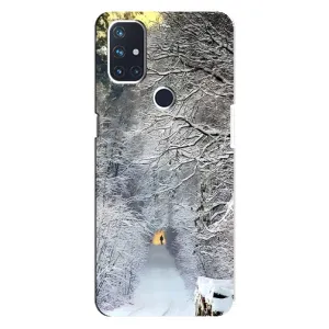 Чехлы на Новый Год OnePlus Nord N10 5G (Заметель)