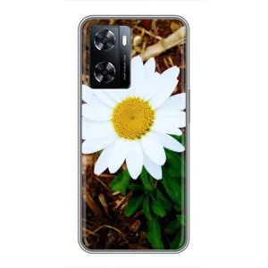 Чохол з ромашками на OnePlus Nord N20 SE (Біла ромашка)