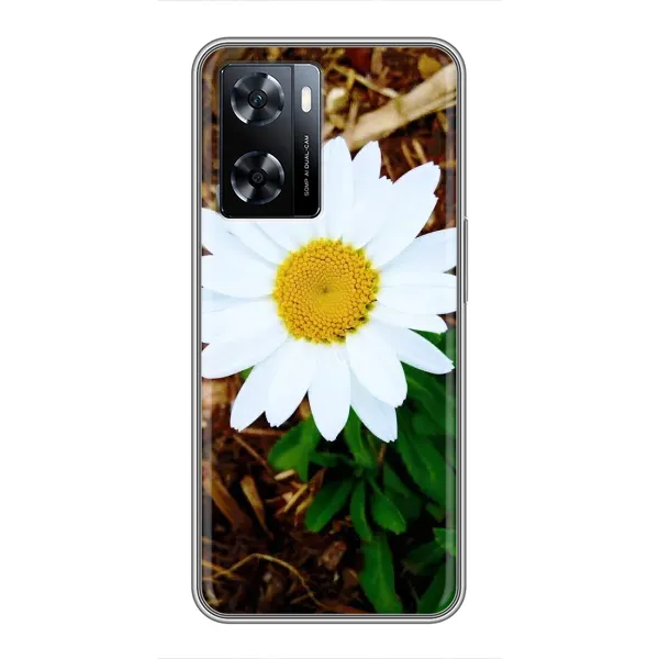 Чехол с рисунком «Белая ромашка» для OnePlus Nord N20 SE Чехол с рисунком «Белая ромашка» для OnePlus Nord N20 SE