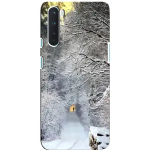 Чехлы на Новый Год OnePlus Nord (Заметель)