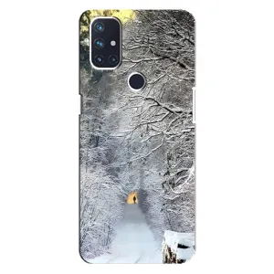 Чехлы на Новый Год OnePlus Nord 10 5G (Заметель)