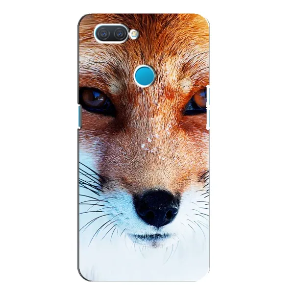 Чехол с рисунком «Рыжая Лисичка» для OPPO A12 Чехол с рисунком «Рыжая Лисичка» для OPPO A12