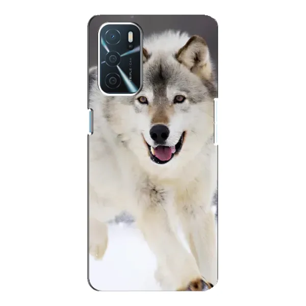 Чехол с рисунком «Волк на снегу» для OPPO A16 Чехол с рисунком «Волк на снегу» для OPPO A16