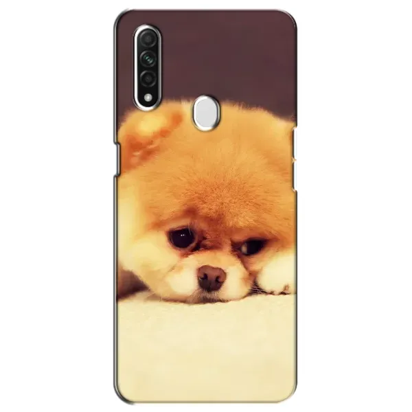 Чехол с рисунком «Померанский шпиц» для OPPO A31 Чехол с рисунком «Померанский шпиц» для OPPO A31