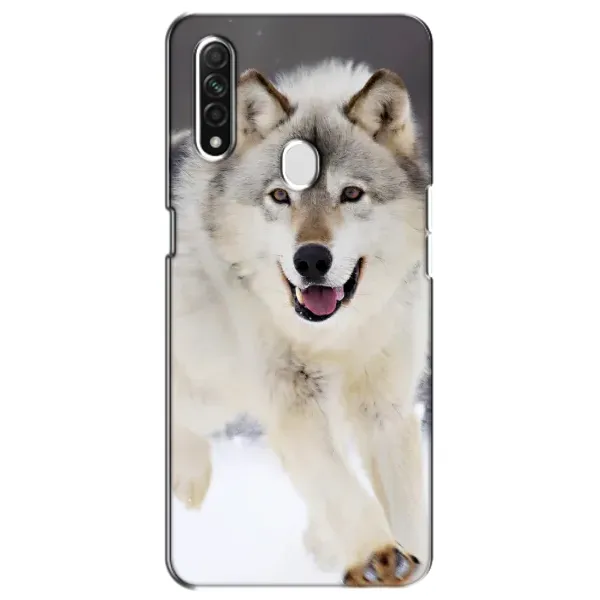 Чехол с рисунком «Волк на снегу» для OPPO A31 Чехол с рисунком «Волк на снегу» для OPPO A31