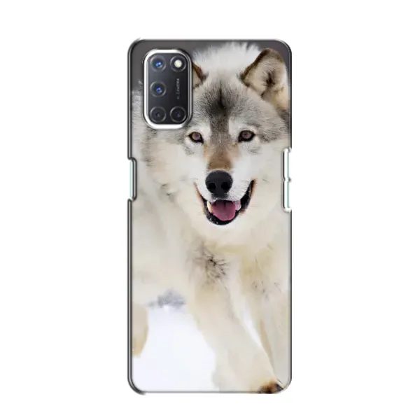 Чехол с рисунком «Волк на снегу» для OPPO A52 Чехол с рисунком «Волк на снегу» для OPPO A52