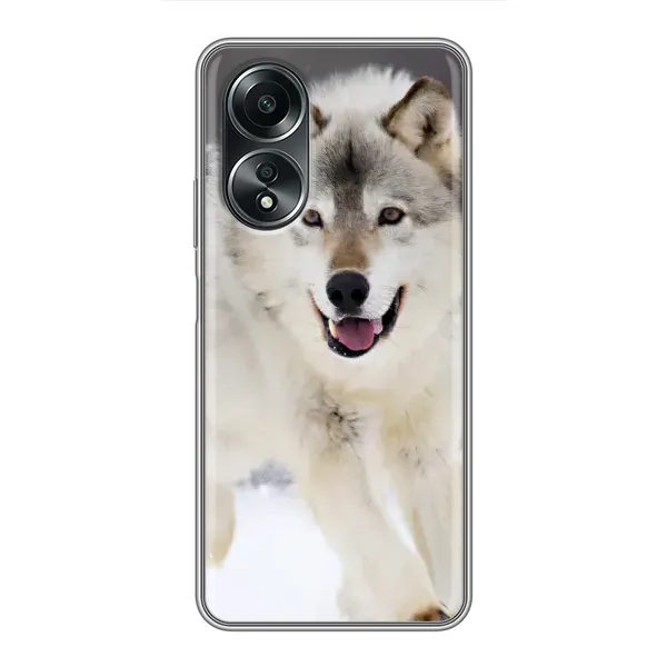 Чехол с рисунком «Волк на снегу» для OPPO A58 (4G) Чехол с рисунком «Волк на снегу» для OPPO A58 (4G)