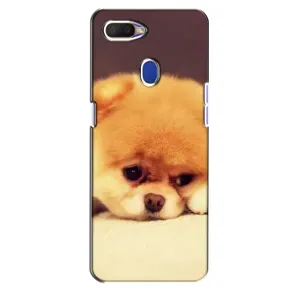Чохол (ТПУ) Милі песики для Oppo A5s (Померанский шпіц)