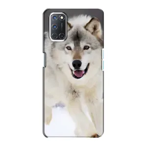 Чохол з Вовком на Oppo A72 (Вовк біжить по снігу)