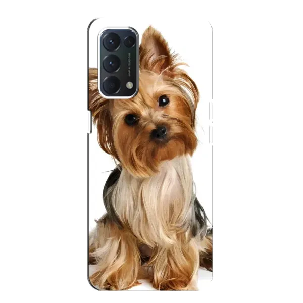 Чехол с рисунком «Собака Терьер» для OPPO A74 Чехол с рисунком «Собака Терьер» для OPPO A74