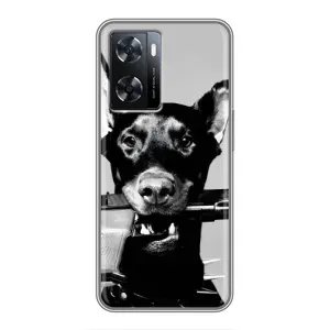 Чехол с рисунком «Опасный доберман» для OPPO A77