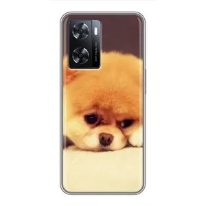 Чехол (ТПУ) Милые собачки для Oppo A77 (Померанский шпиц)