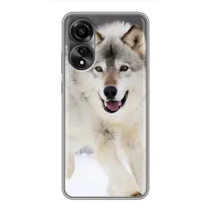 Чохол з Вовком на OPPO A78 (4G) (Вовк біжить по снігу)