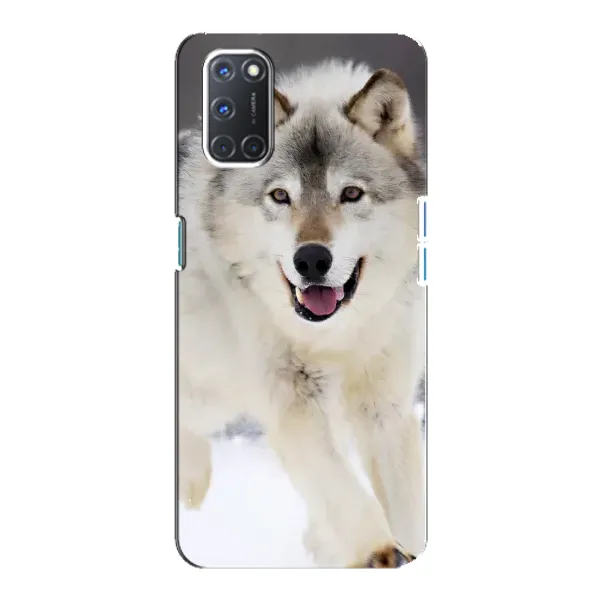 Чехол с рисунком «Волк на снегу» для OPPO A92 Чехол с рисунком «Волк на снегу» для OPPO A92