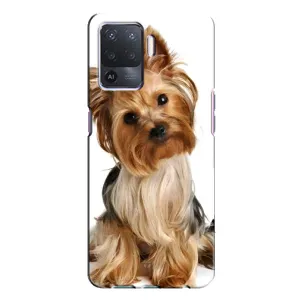 Чехол (ТПУ) Милые собачки для Oppo A94 (Собака Терьер)
