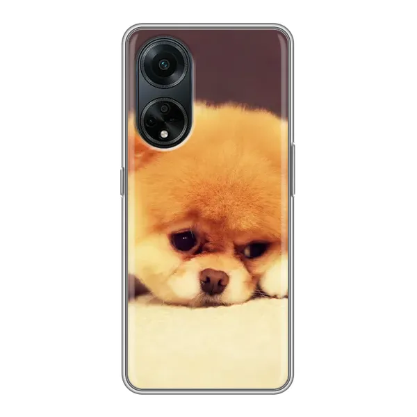 Чехол с рисунком «Померанский шпиц» для OPPO A98 Чехол с рисунком «Померанский шпиц» для OPPO A98