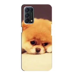 Чохол (ТПУ) Милі песики для Oppo F19 (Померанский шпіц)