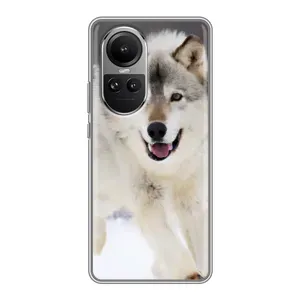 Чохол з Вовком на Oppo Reno 10 Pro (Вовк біжить по снігу)