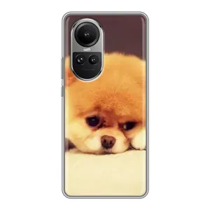 Чехол (ТПУ) Милые собачки для Oppo Reno 10 (Померанский шпиц)
