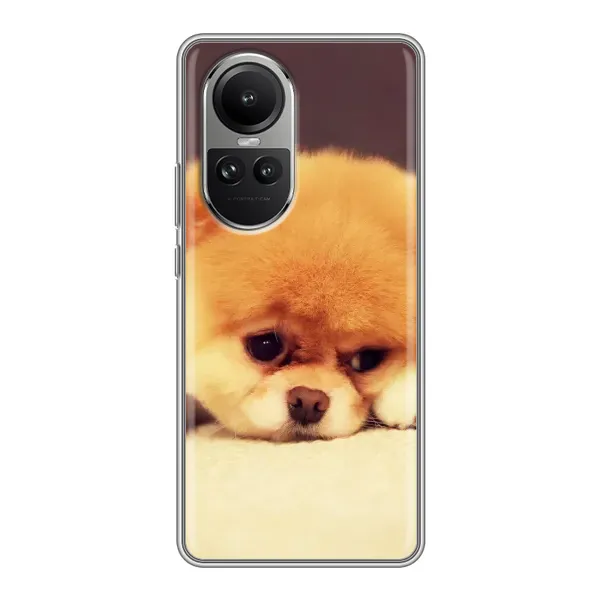 Чехол с рисунком «Померанский шпиц» для OPPO Reno 10 Чехол с рисунком «Померанский шпиц» для OPPO Reno 10
