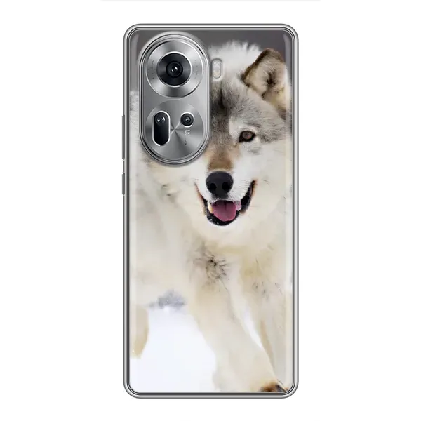 Чехол с рисунком «Волк на снегу» для OPPO Reno 11 5G Чехол с рисунком «Волк на снегу» для OPPO Reno 11 5G