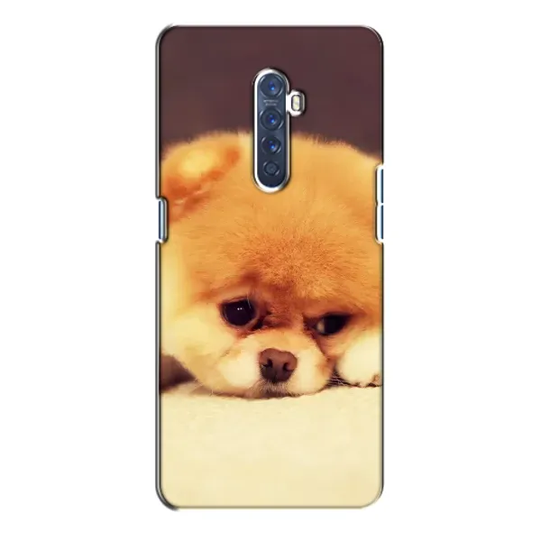 Чехол с рисунком «Померанский шпиц» для OPPO Reno 2 Чехол с рисунком «Померанский шпиц» для OPPO Reno 2