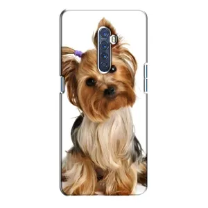 Чехол (ТПУ) Милые собачки для Oppo Reno 2 (Собака Терьер)