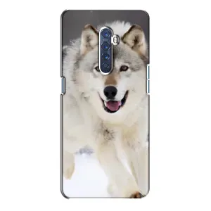 Чехол с Волком на Oppo Reno 2 (Волк на снегу)