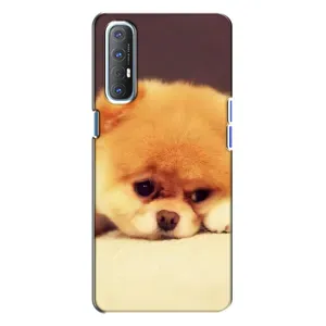 Чохол (ТПУ) Милі песики для Oppo Reno 3 (Померанский шпіц)