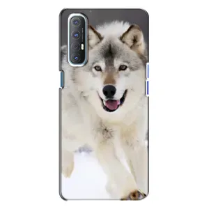 Чохол з Вовком на Oppo Reno 3 (Вовк біжить по снігу)