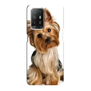 Чохол (ТПУ) Милі песики для Oppo Reno 5z (Пес Терьєр)