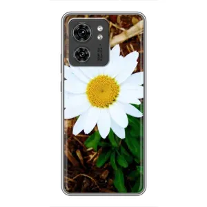 Чохол з ромашками на OPPO Reno 8 Pro 5G (Біла ромашка)