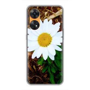 Чохол з ромашками на Oppo Reno 8T (Біла ромашка)