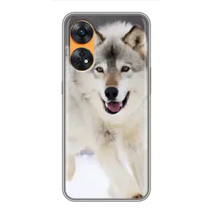 Чехол с Волком на Oppo Reno 8T (Волк на снегу)