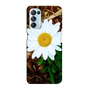 Чохол з ромашками на Oppo Reno5 4G (Біла ромашка)