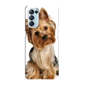 Чехол (ТПУ) Милые собачки для Oppo Reno5 4G (Собака Терьер)