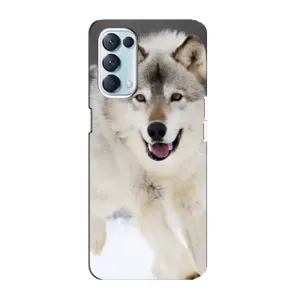 Чехол с Волком на Oppo Reno5 4G (Волк на снегу)